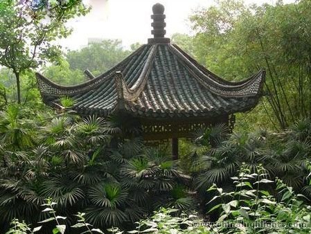 Yangtze River Cruise and Chongqing