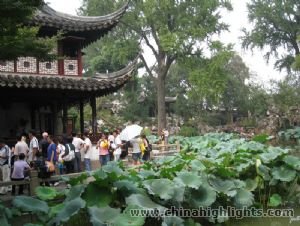 Lingering Garden