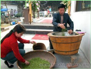 MeijiangwuTeadorf2