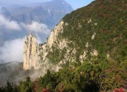 goddess-peak