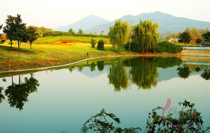 Xuanwu Lake begins to be a park in 1909,then it's the main lake of Wuhan that can see lots of fishes,viewsights around it are also charming. 