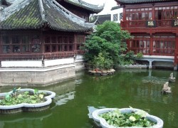 Yuyuan Garden